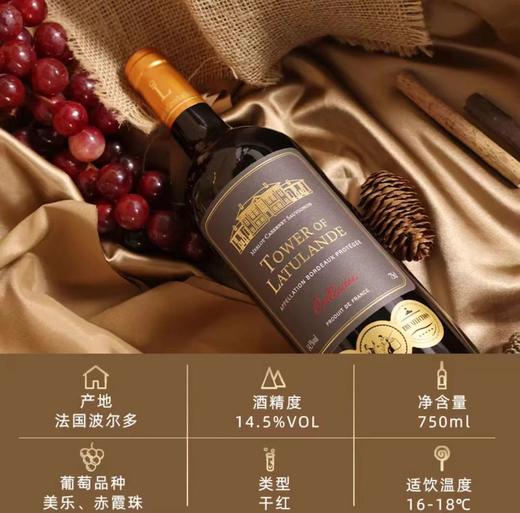 【礼赠爆款】法国原装进口 红酒 拉图蓝黛庄园干红葡萄酒14.5度750ml*2 礼盒装带开瓶器 商品图2