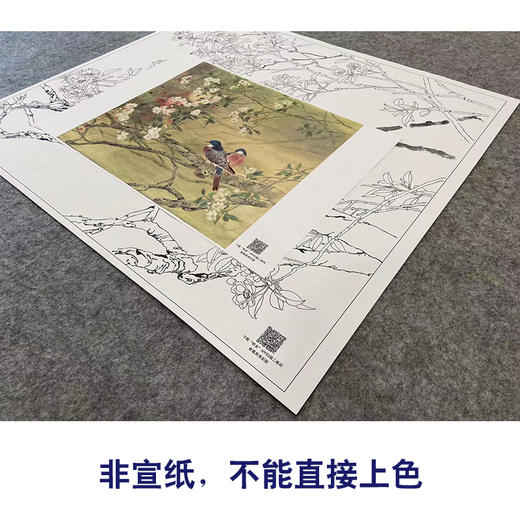 【大彩图】邹传安工笔画白描底稿小品《春酣》海棠花临摹勾线花鸟线稿HN27 商品图2