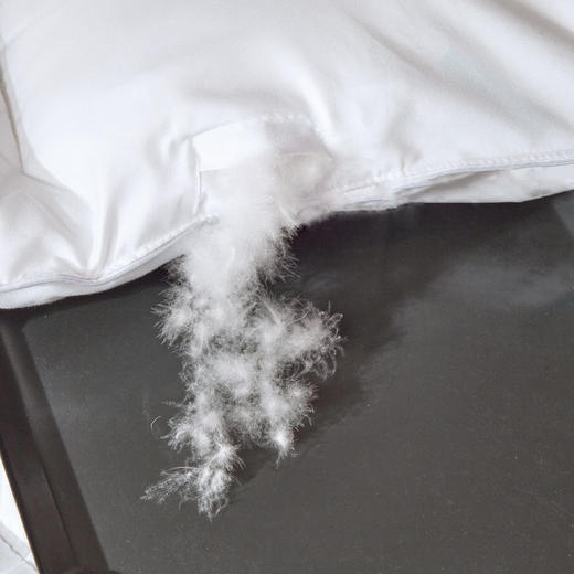 羽绒被 商品图1