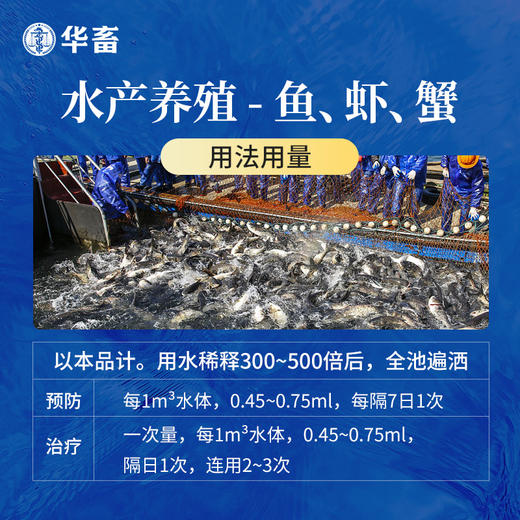 【社群专享】华畜10%聚维酮碘溶液水产用 水霉病腐皮烂皮等 杀菌消毒安全性好 商品图2