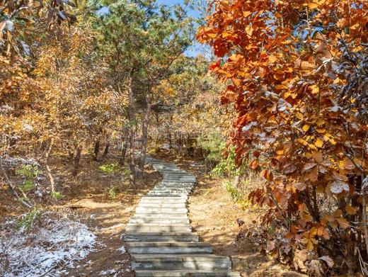 威海慢姑娘玉米山民宿别墅轰趴 商品图10