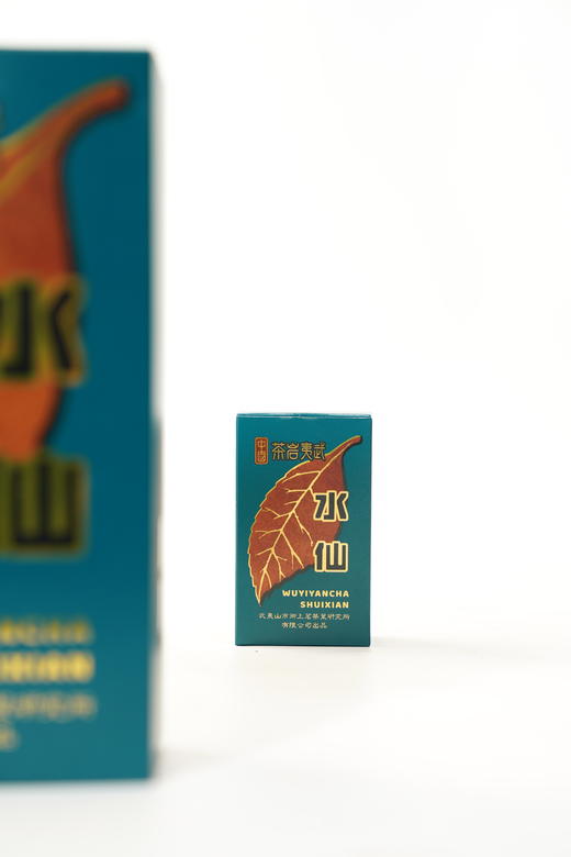 经典系列水仙 商品图4