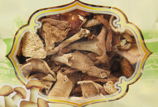 台珍野生台蘑250g/盒	125g*2袋/箱 商品图2