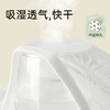（内购） 30条「天竹纤维」一次性内裤【5A天然抗菌】「裸肤党最爱」 商品缩略图3