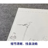 【大彩图】谢稚柳工笔画白描底稿荷花临摹勾线花鸟线稿HN23 商品缩略图4