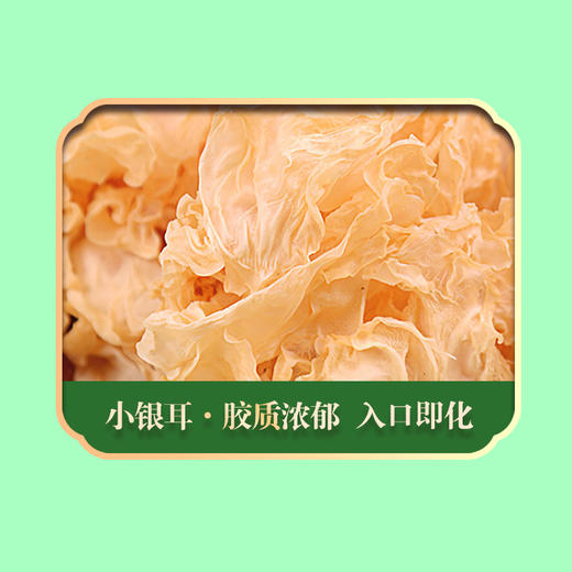 【严选】绿帝山肴佳品菌菇类礼盒490g（厂家直发） 商品图5