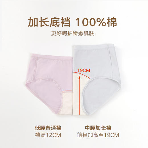 【3条装】弗利少女新疆棉内裤纯棉裆部新款中腰短裤三角裤女 商品图4