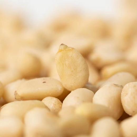 长白山有机雪松子仁（罐装） 商品图1