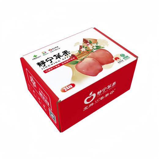静宁苹果 新鲜红富士 商品图0