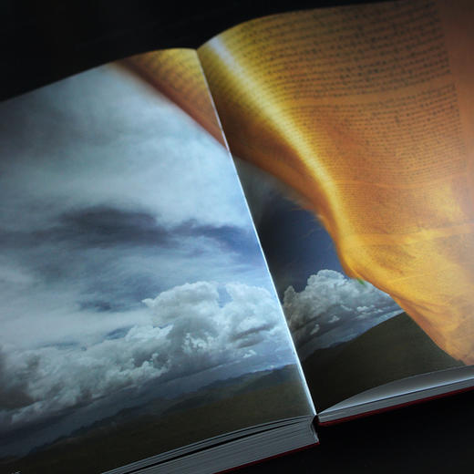 和光同尘:徐家树摄影集 商品图5