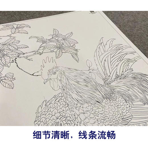 【大彩图】邹传安工笔画白描底稿小品《两心合影共依依》公鸡临摹勾线花鸟线稿HN28 商品图4