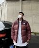 御寒必备TNF1996经典700篷400g鹅绒御寒鹅绒羽绒服 商品缩略图4