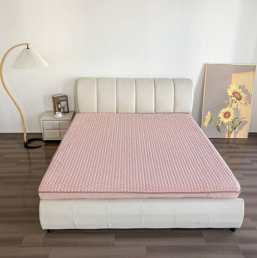 冬季家居保暖宝宝绒床笠 商品图1