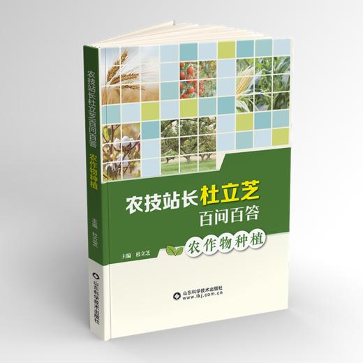 农技站长杜立芝百问百答 商品图3