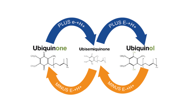 1697097408357.jpg 图片