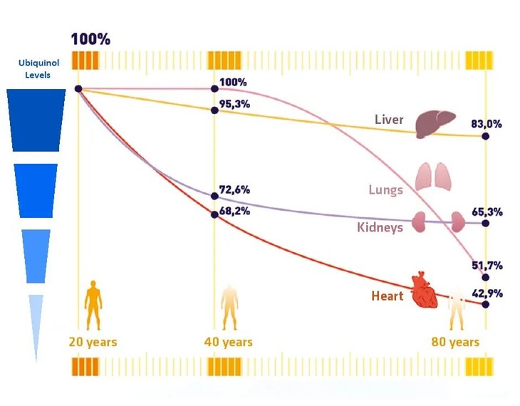1697097428121.jpg 图片