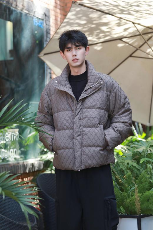 S340474334复古菱格立领羽绒服 商品图3