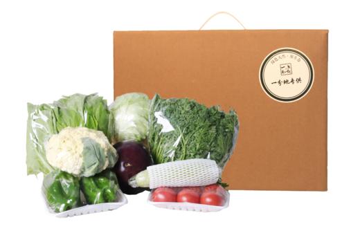 一分地鲜蔬直达套餐 商品图4