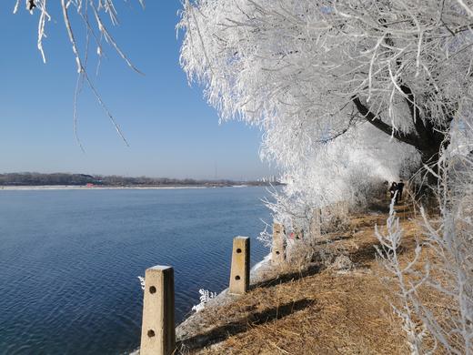 【梦幻雪国】7天6晚穿越1200公里的雪国浪漫，东北雪季 定金专拍 商品图9