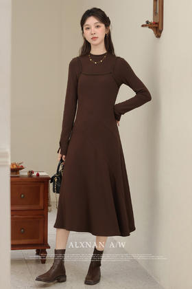 鹿向南《咖色调性》  多色连衣裙