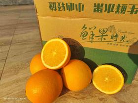 武汉车险方案脐橙（件）