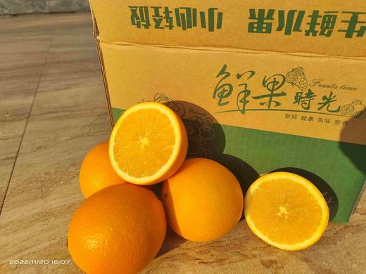 武汉车险方案脐橙（件） 商品图0