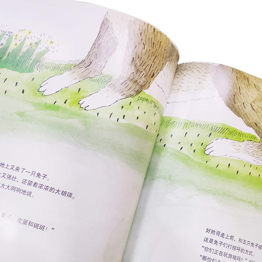 【点读版】米拉·洛贝百年精选图画书：五只兔子（平）（NEW） 商品图3