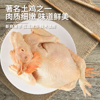 温氏供港三黄鸡1.6斤 冷冻 90天农家土鸡慢养走地鸡 红烧白切煲汤食材 商品图1