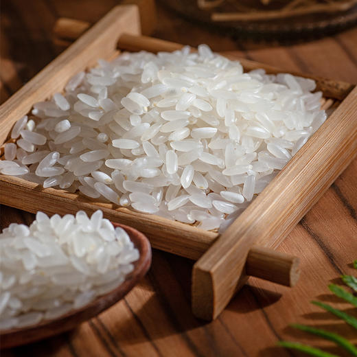 【北纯】五常大米 5kg 商品图3