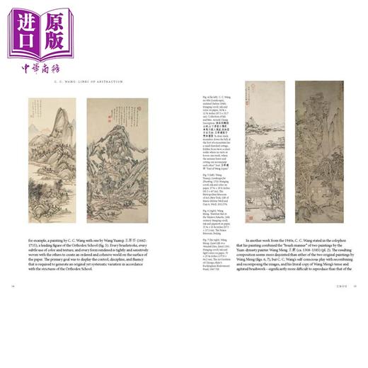 【中商原版】C.C. Wang Lines Of Abstraction 进口艺术 C.C. Wang 抽象的线条 Hirmer出版 艺术理论与评论 商品图2
