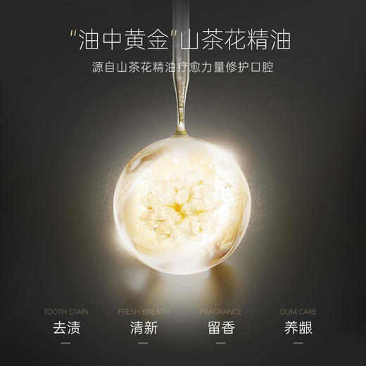 小巨蛋山茶花精油色修牙膏180g 商品图2