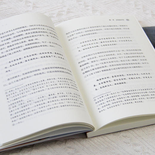 《古代诗人传》系列杜甫+白居易+李商隐+苏东坡+王维+陶渊明 商品图4