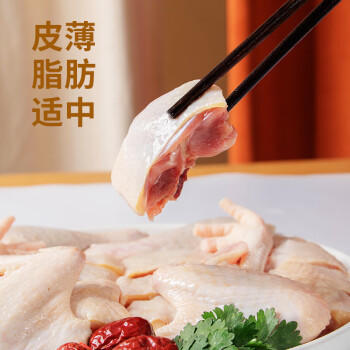 温氏供港农养公鸡 1.6斤 冷冻走地鸡90天农家散养大公鸡 笨鸡中华土鸡 商品图0