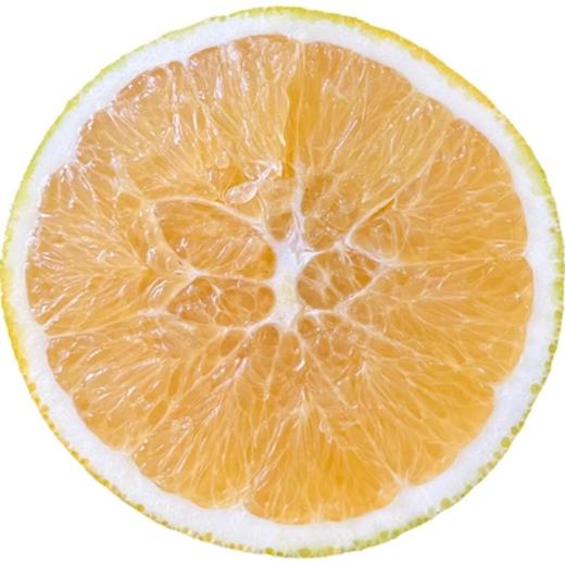 【福建外运】季节限定！木瓜蜜丁橙 4.5~5斤 商品图2