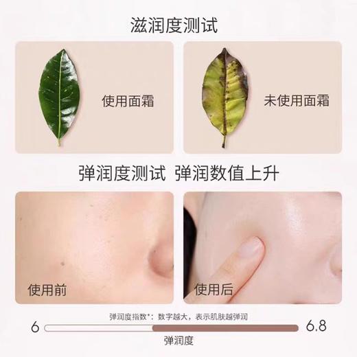 澳芝曼绵羊脂滋润维E霜（温和新配方） 商品图6