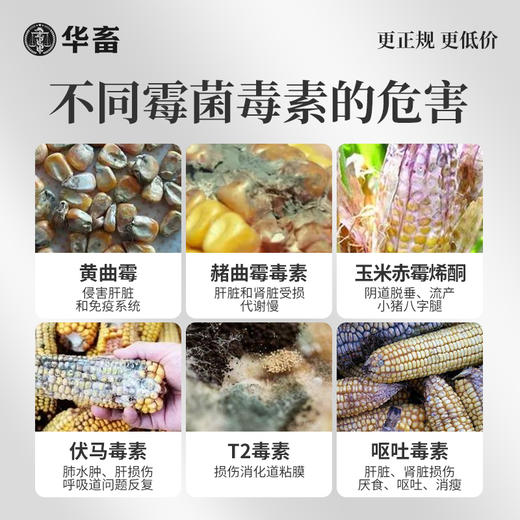 华畜真脱净600g 脱霉净复合酶降解多种毒素不破坏饲料营养 孕畜可用可兑水 商品图3