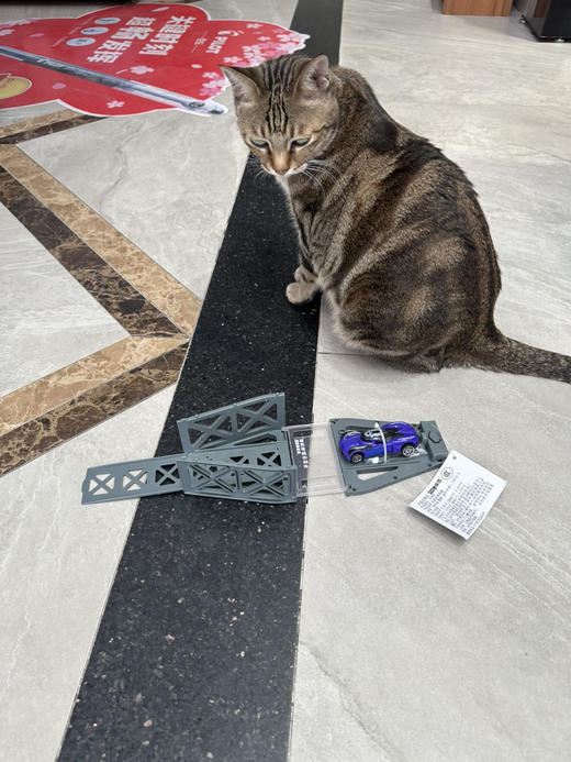 弹射轨道合金车H996E 商品图1