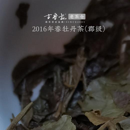 方守龙老茶仓 2016年春牡丹茶(郡级) 七年宝福鼎老白茶 藏茶密室宝之 商品图3