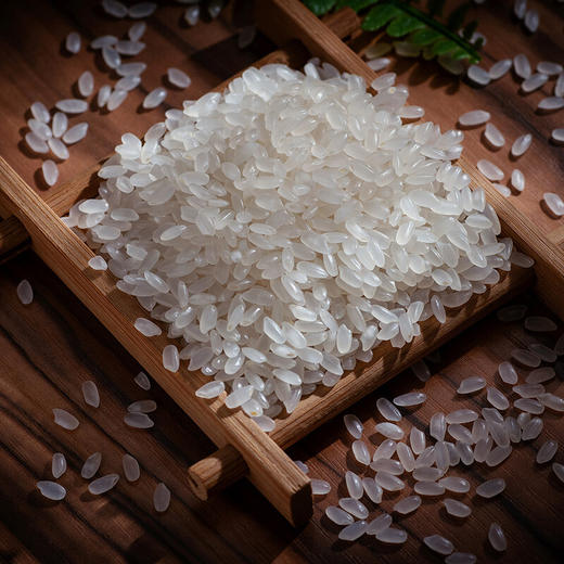 【北纯】小町米 5kg 商品图5