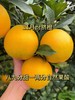 赣南脐橙 商品缩略图3