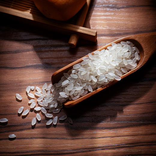 【北纯】小町米 5kg 商品图3