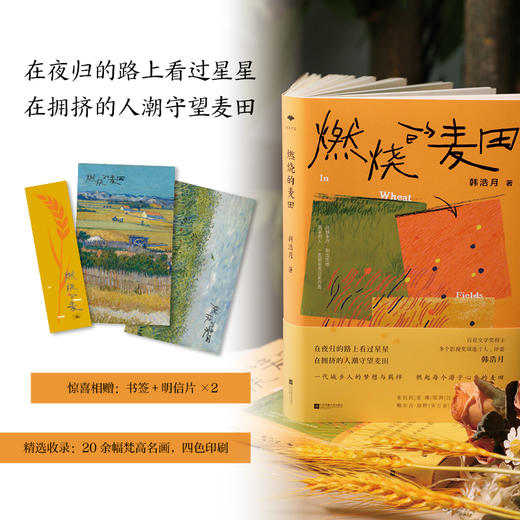 燃烧的麦田（在夜归的路上看过星星，在拥挤的人潮守望麦田。一代城乡人的梦想与羁绊，燃起每个游子心中的麦田。百花文学奖得主韩浩月，全新非虚构散文集。）(韩浩月) 商品图0