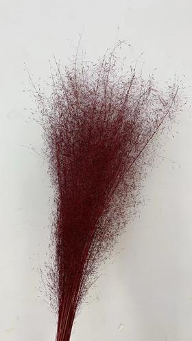 永生花材 | 粉黛乱子草暗红色