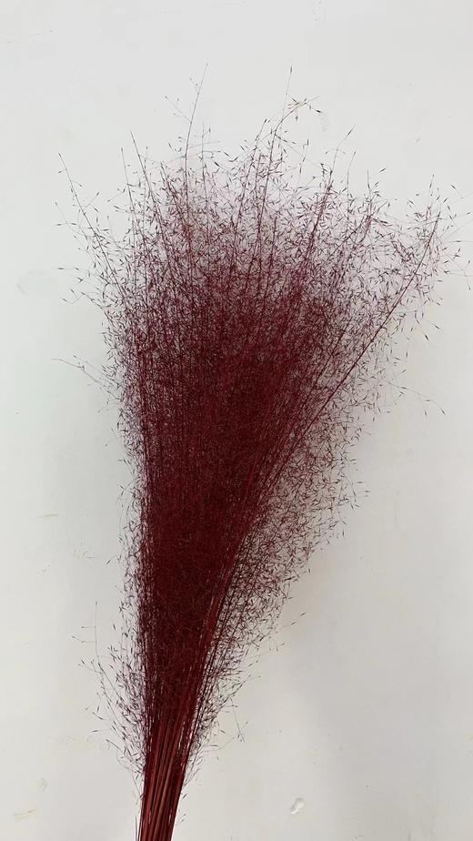 永生花材 | 粉黛乱子草暗红色 商品图0