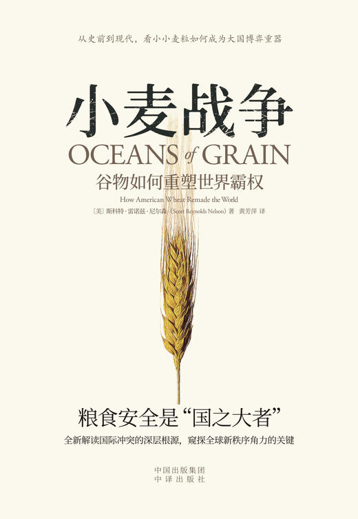 小麦战争：谷物如何重塑世界霸权 朱嘉明、何秀荣、姚向君、王巍、温铁军、徐瑾、《棉花帝国》作者斯文·贝克特联袂推荐 全球跨度的深入探索，世界史最有力的全新诠释 商品图3