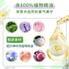 金纺焕新护衣留香珠薰细草+香紫苏【200g】 商品缩略图2