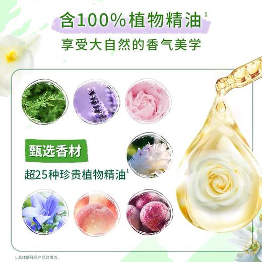 金纺焕新护衣留香珠薰细草+香紫苏【200g】 商品图2