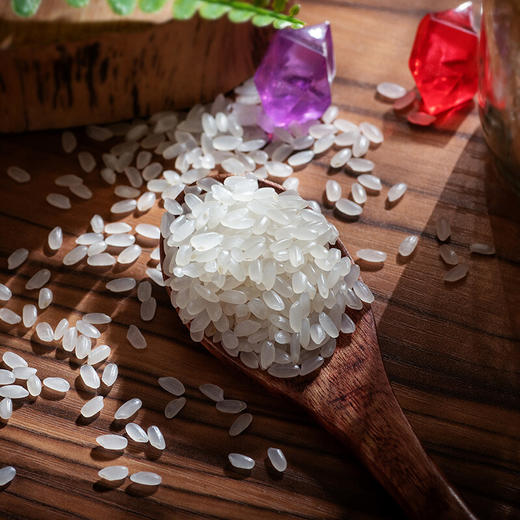 【北纯】小町米 5kg 商品图4