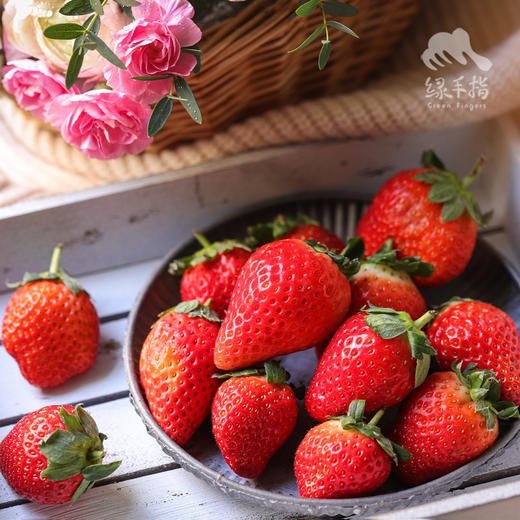 生态草莓（河南）  |合作生产 * Ecological strawberry | Coproduction 商品图4