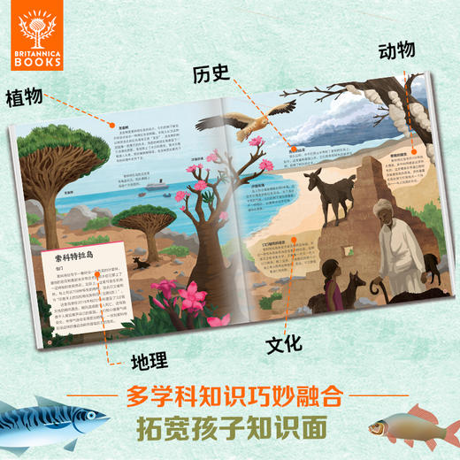 大英儿童百科地球冒险计划（全4册） 商品图3